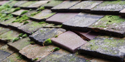 Roath Park roof repair costs